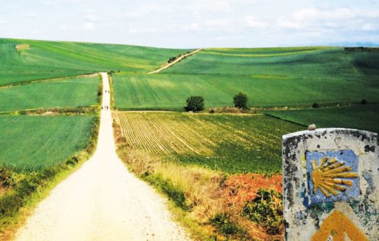Camino de Santiago