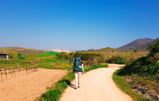 Puenta la Reina naar Villatuerta - Camino Frances - HappyHikers
