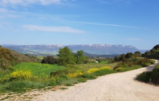 Tips voor het lopen van de Camino Frances - HappyHikers