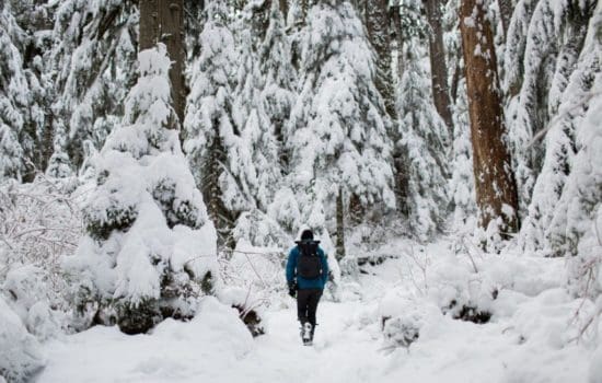 Wandelen in de winter - HappyHikers