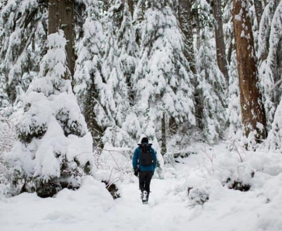 Wandelen in de winter - HappyHikers