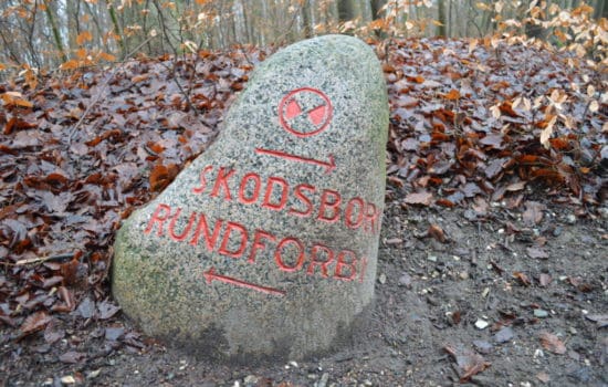 Deense paddenstoel in Dyrehaven- HappyHikers