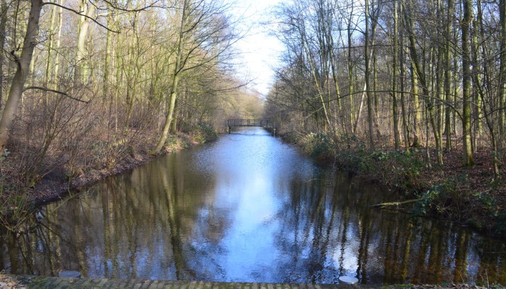 Haagse bos en Clingendael - Den Haag