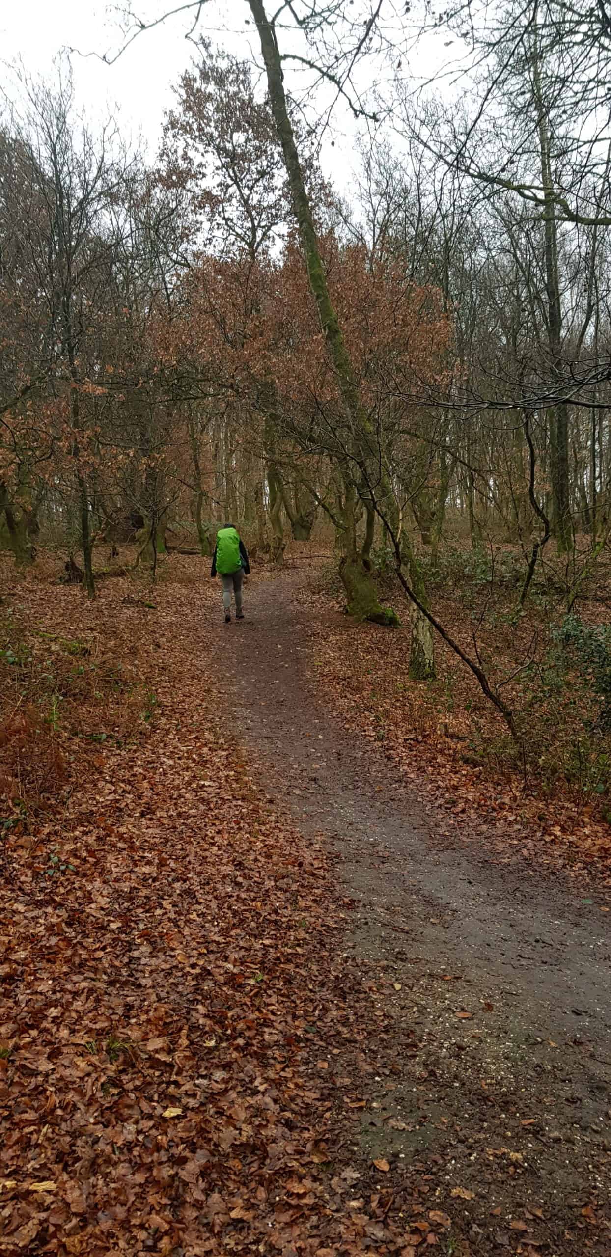 HappyHikers- Wandelen over de Grebbeberg