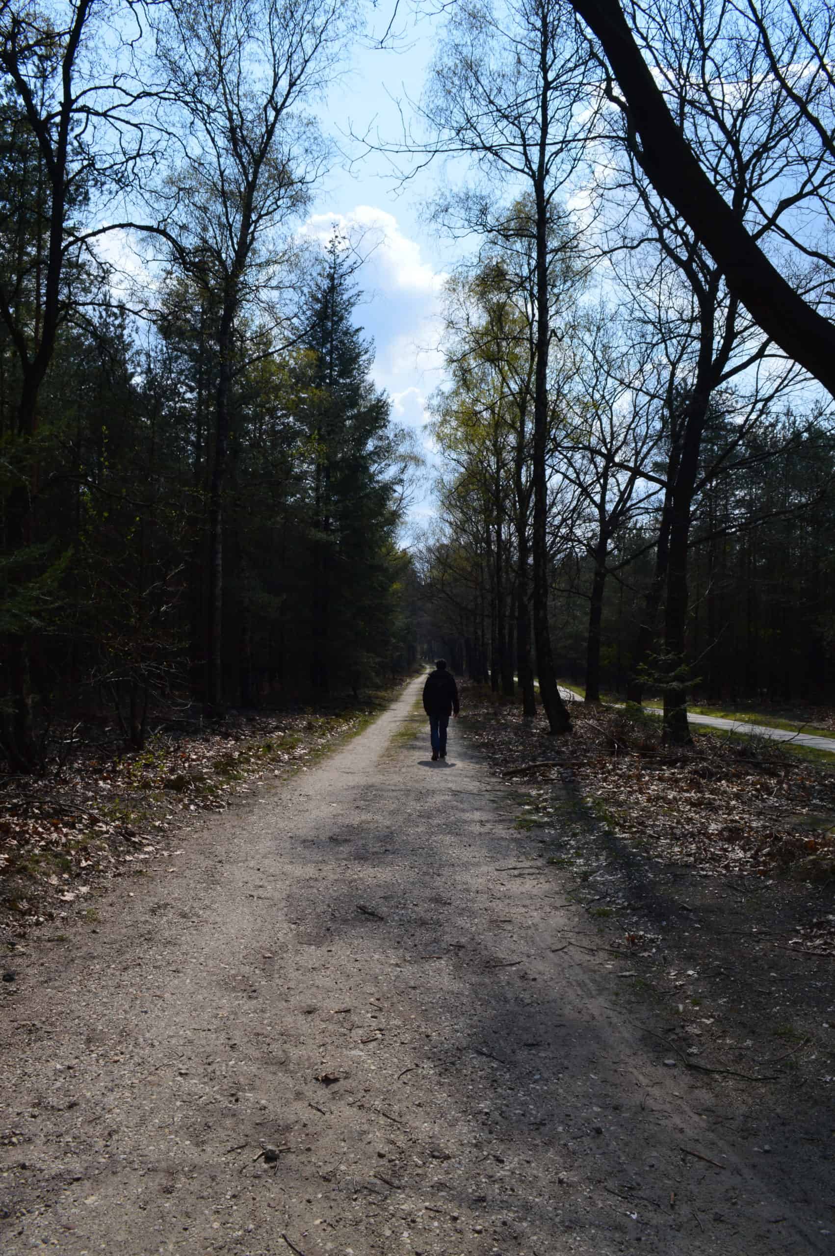 HappyHikers - Trekvogelpad Hoenderloo naar Loenen