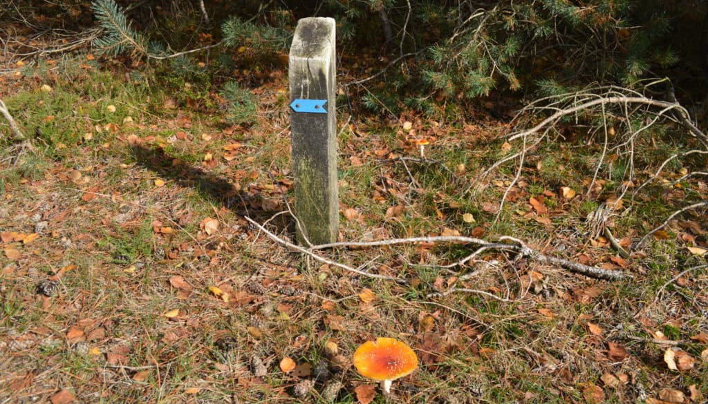 De route Deelerwoud - HappyHikers