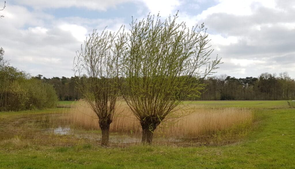 IVN Landgoed Woudhuizen - HappyHikers