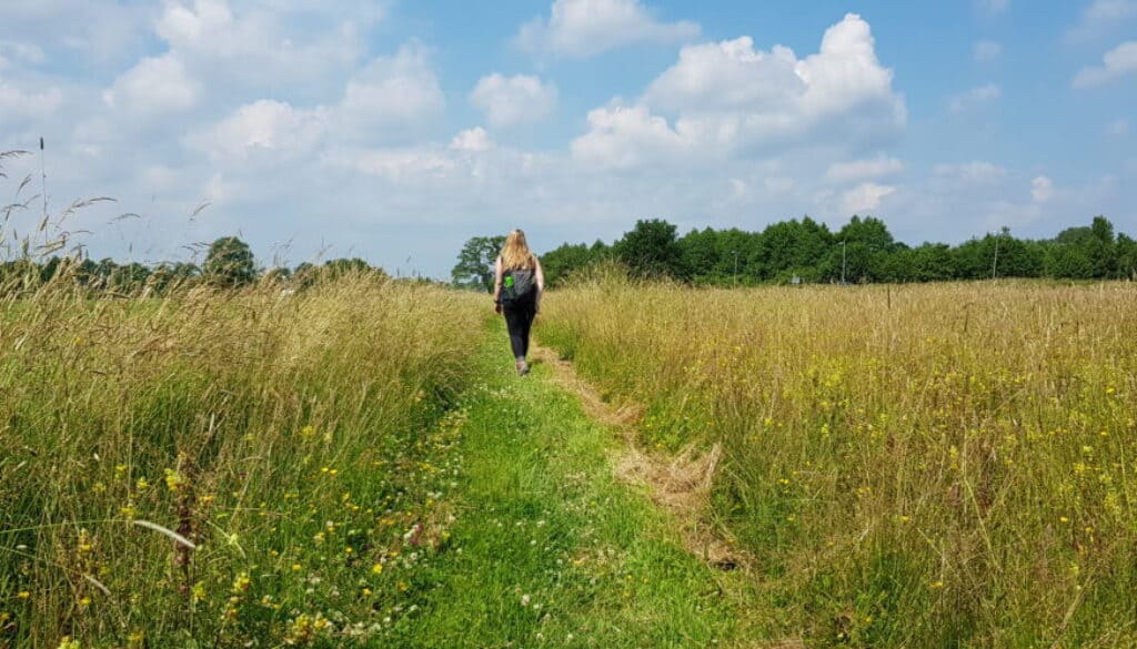 Wandelen door natuur bij apeldoorn - Holholsterpad - HappyHikers